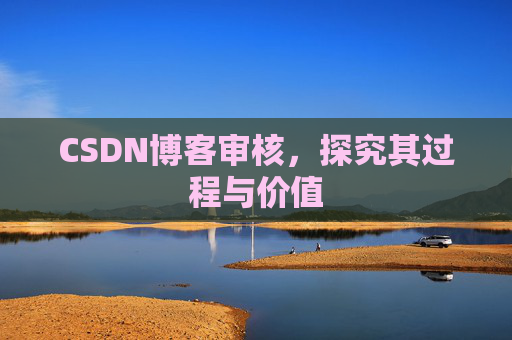 CSDN博客审核，探究其过程与价值